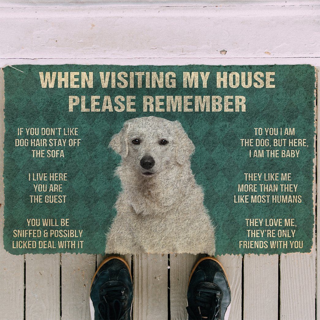 Bugybox  3D Please Remember Kuvasz Dogs House Rules Doormat