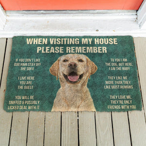 Bugybox  3D Please Remember Labrador Retriever Dog's House Rules Doormat