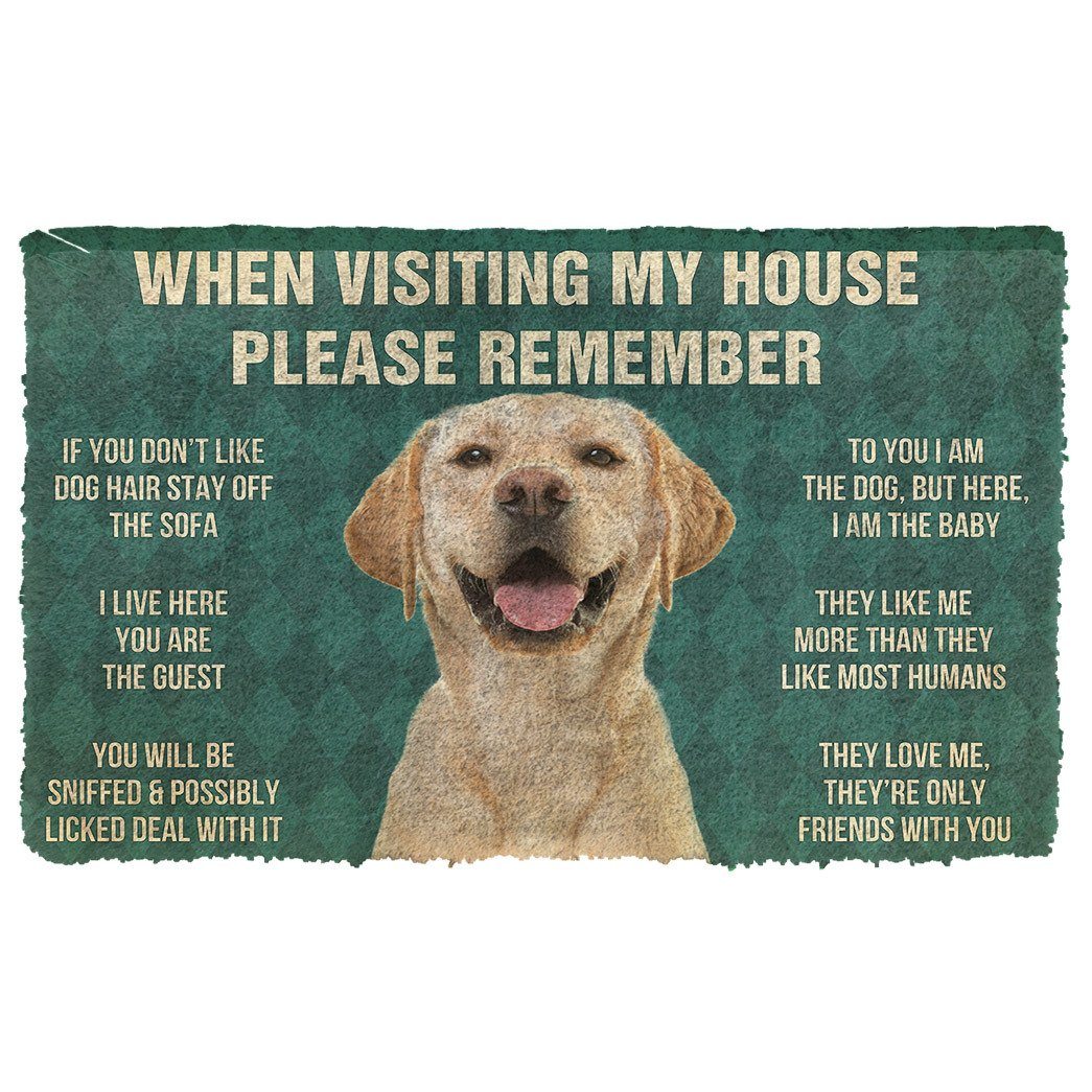 Bugybox  3D Please Remember Labrador Retriever Dog's House Rules Doormat