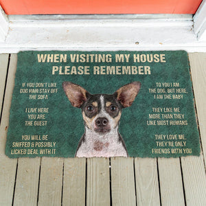 Bugybox 3D Please Remember Rat Terrier Dogs House Rules Doormat