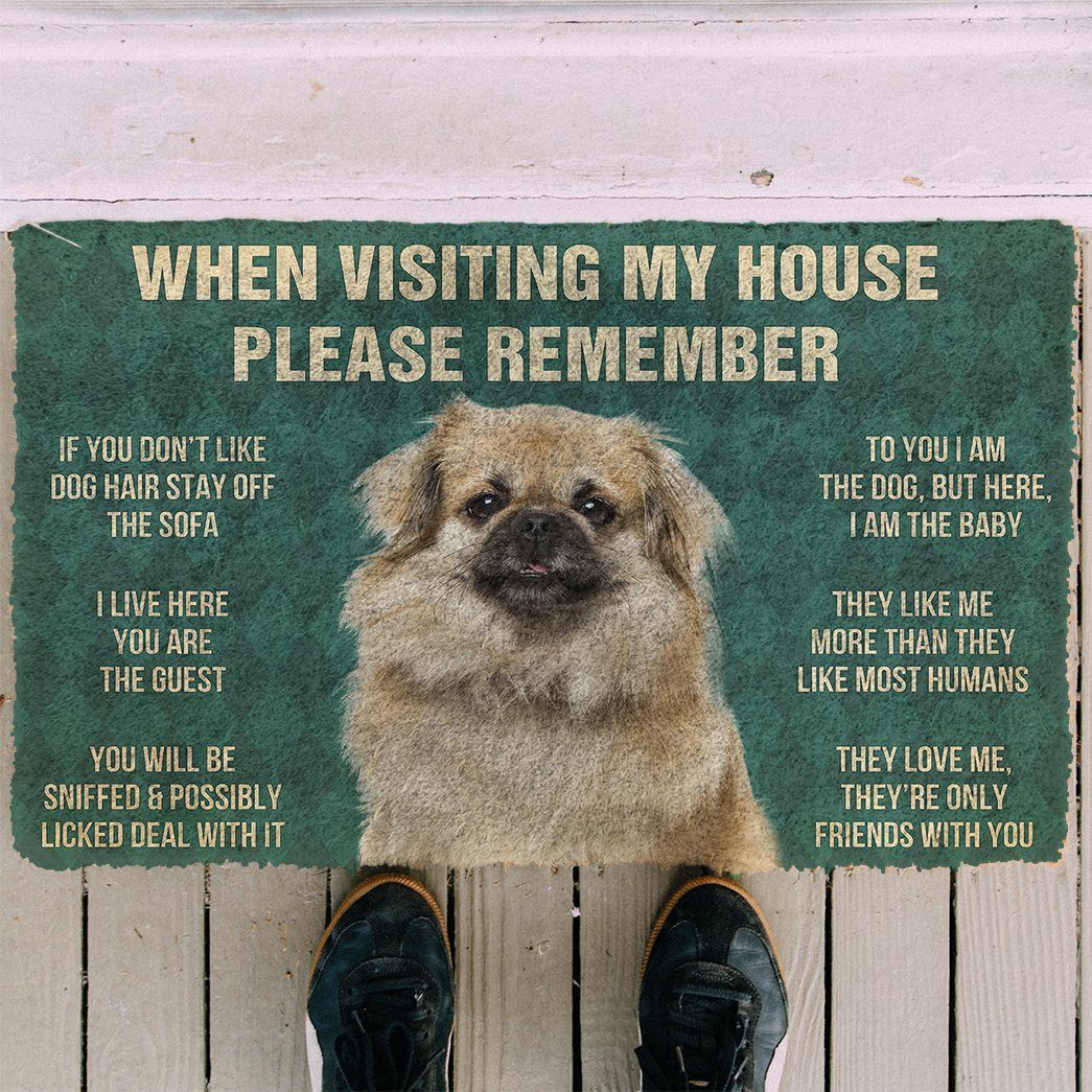 Bugybox 3D Please Remember Tibetan Spaniel Dogs House Rules Doormat