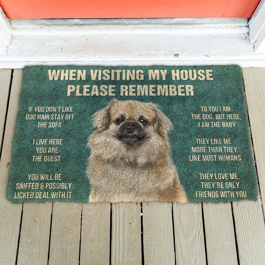 Bugybox 3D Please Remember Tibetan Spaniel Dogs House Rules Doormat
