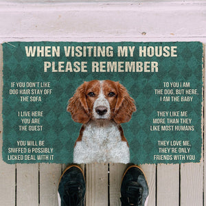 Bugybox  3D Please Remember Welsh Springer Spaniel Dogs House Rules Doormat