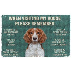 Bugybox  3D Please Remember Welsh Springer Spaniel Dogs House Rules Doormat