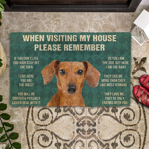 Bugybox 3D Please Remember Dachshund House Rules Doormat