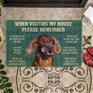 Bugybox 3D Please Remember Irish Setters House Rule Doormat