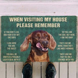 Bugybox 3D Please Remember Irish Setters House Rule Doormat
