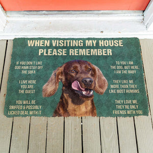 Bugybox 3D Please Remember Irish Setters House Rule Doormat
