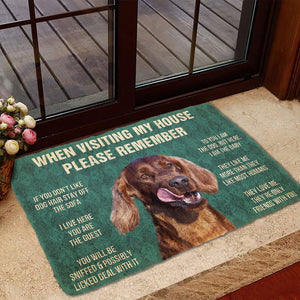 Bugybox 3D Please Remember Irish Setters House Rule Doormat