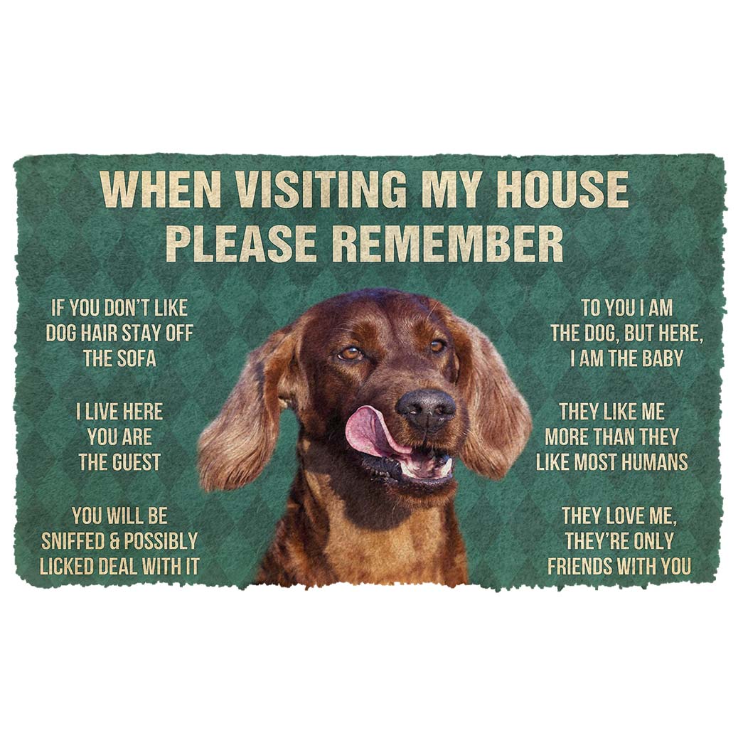 Bugybox 3D Please Remember Irish Setters House Rule Doormat