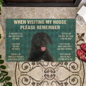 Bugybox 3D Please Remember Portuguese Water Dog House Rules Doormat