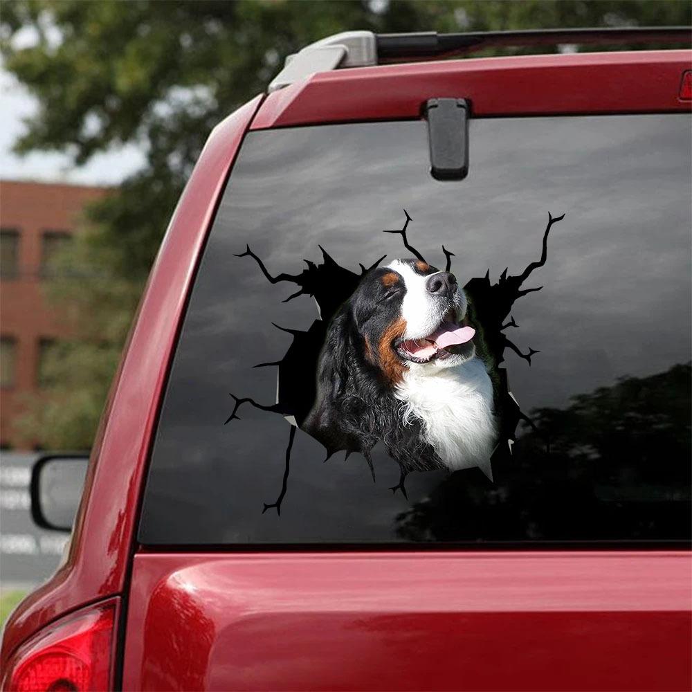 Bernese Mountain Crack Car Sticker, Toilet Sticker, Fridge Sticker 12