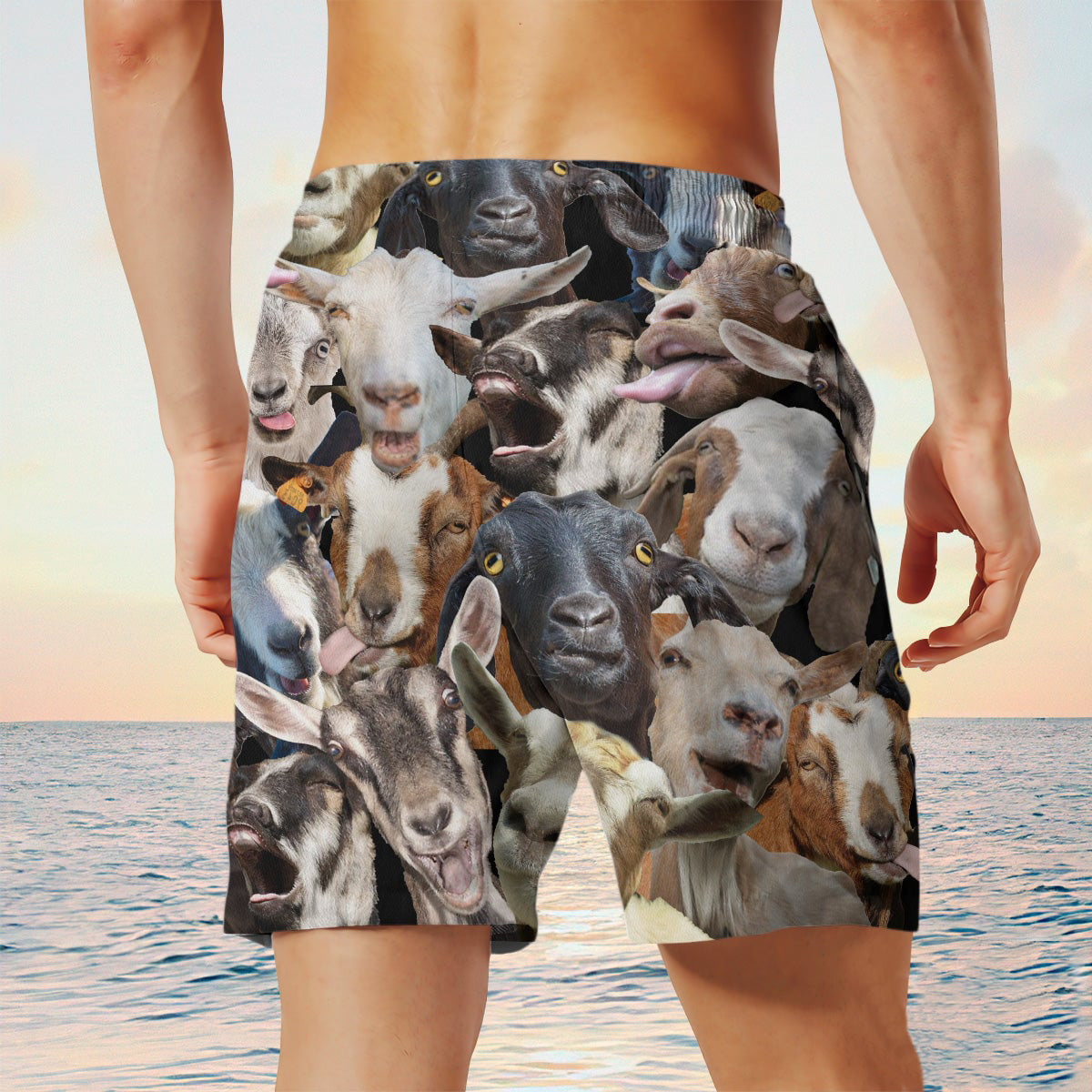 goat Herd Shorts