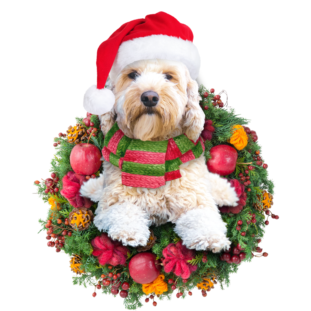 Golden Doodle Christmas Ornament