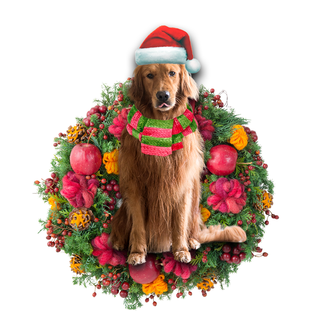 Golden Retriever Christmas Ornament