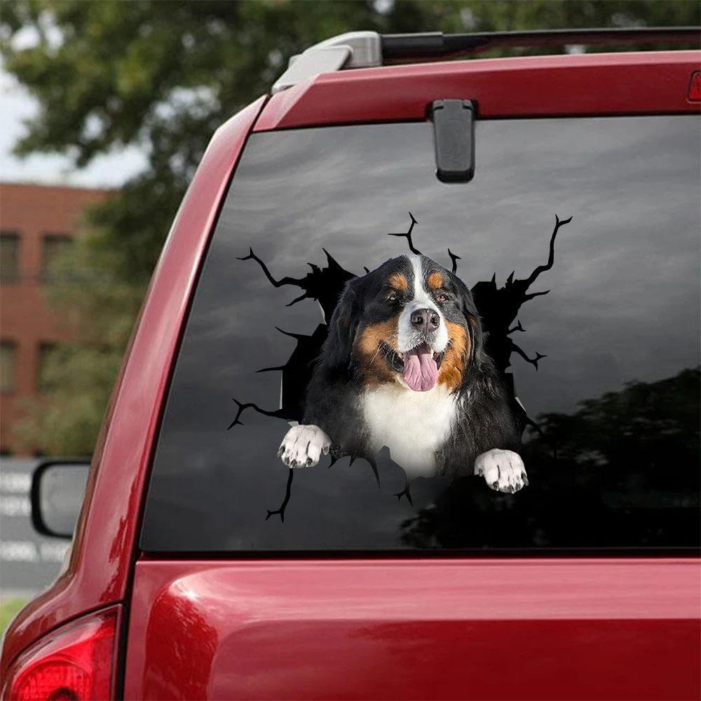 Bernese Mountain Crack Car Sticker, Toilet Sticker, Fridge Sticker 14