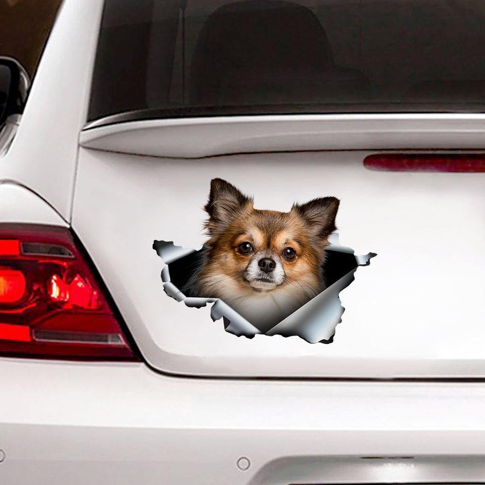 FUNNY CHIHUAHUA CAR STICKER LOVER