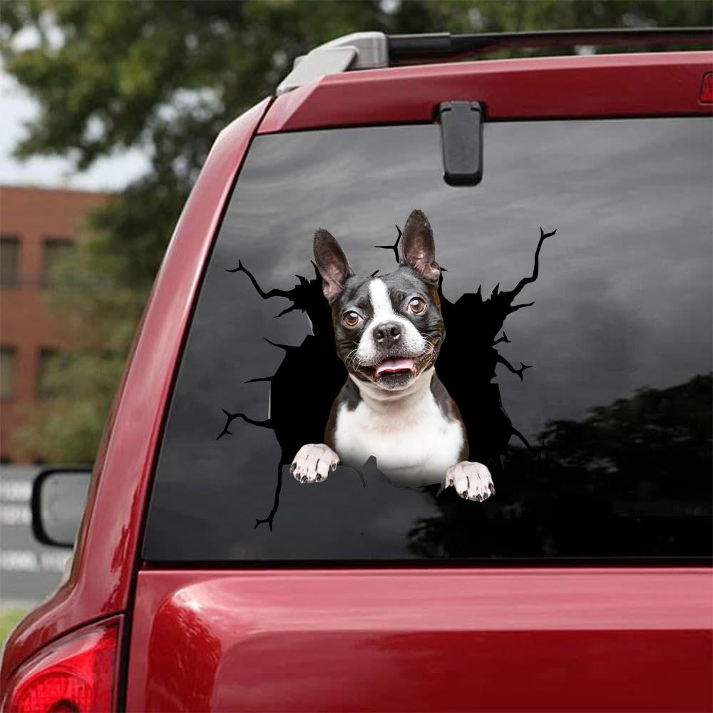 BOSTON TERRIER CRACK STICKER 11