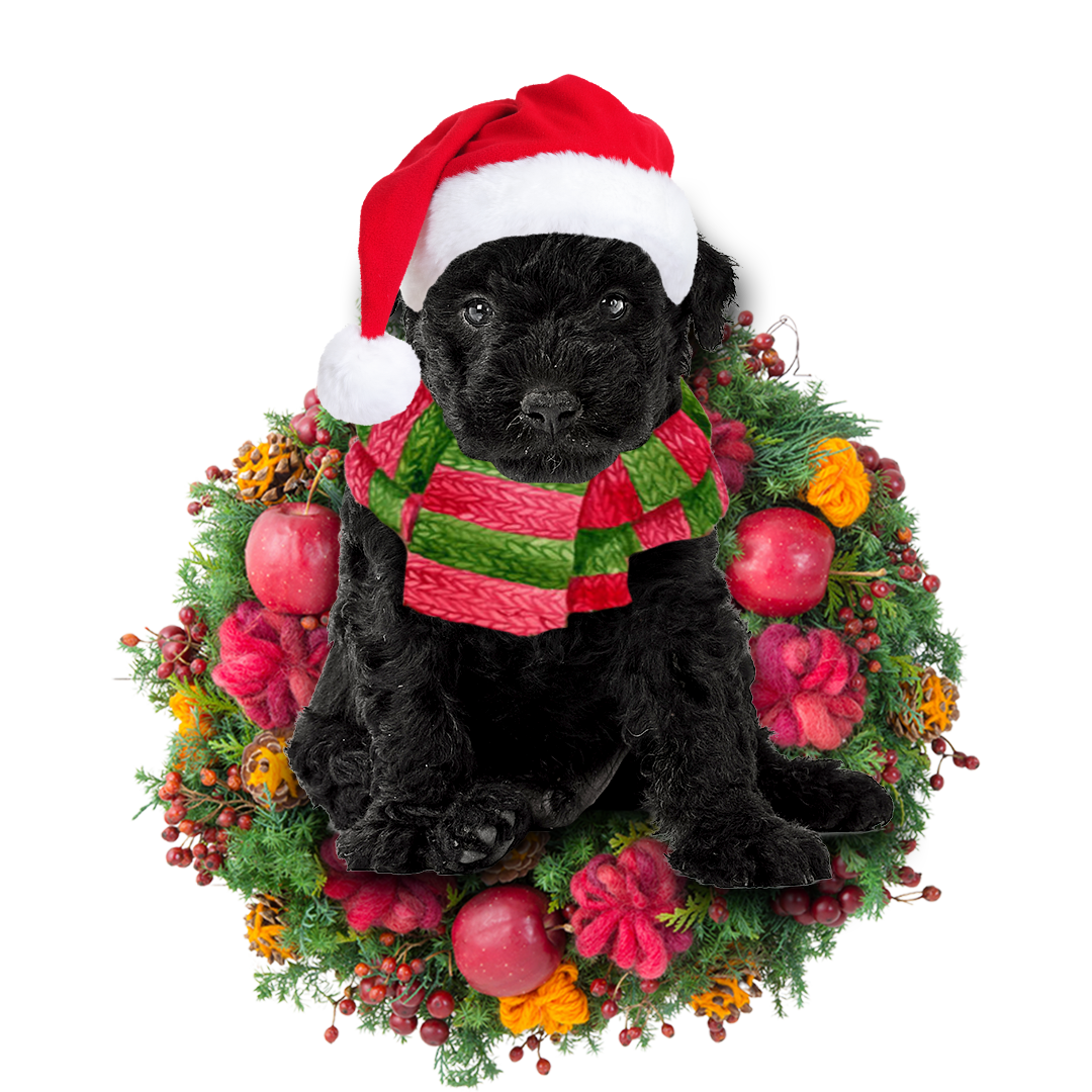 Hungarian Puli Christmas Ornament