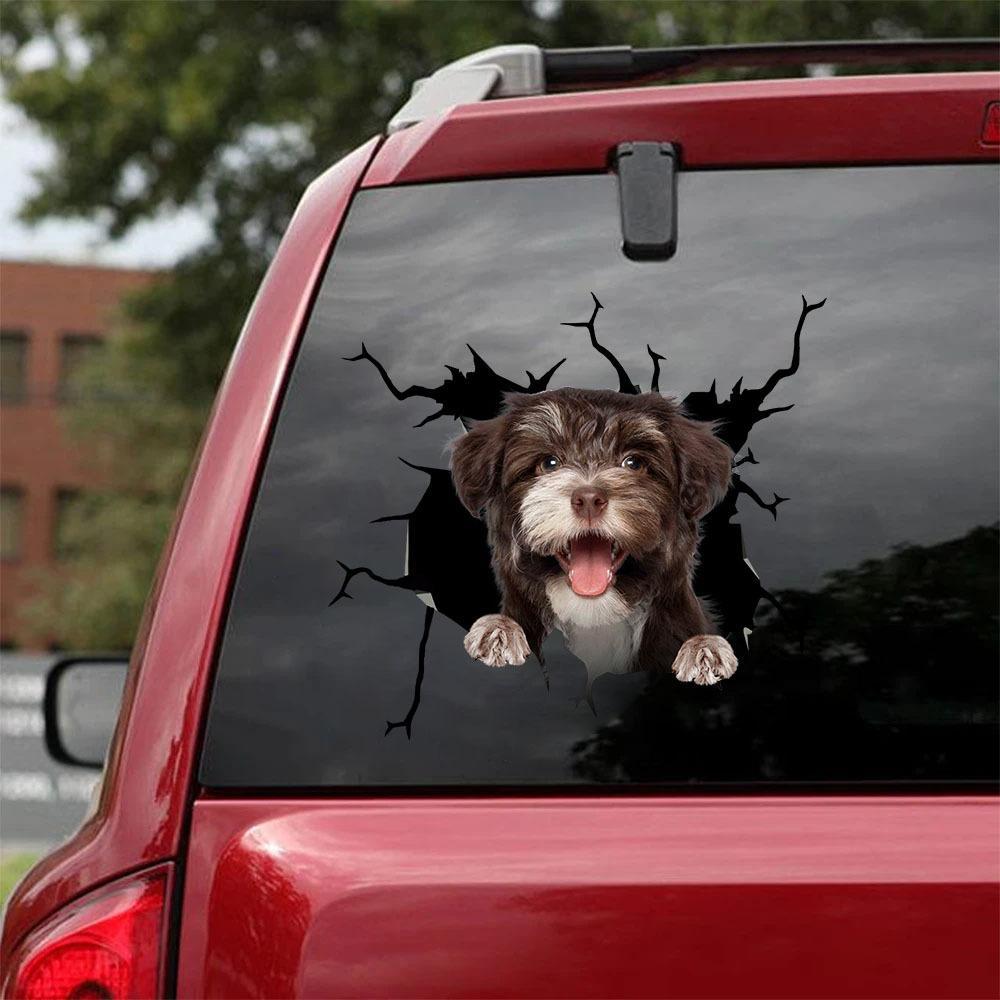 Havanese Crack Car Sticker, Toilet Sticker, Fridge Sticker 12