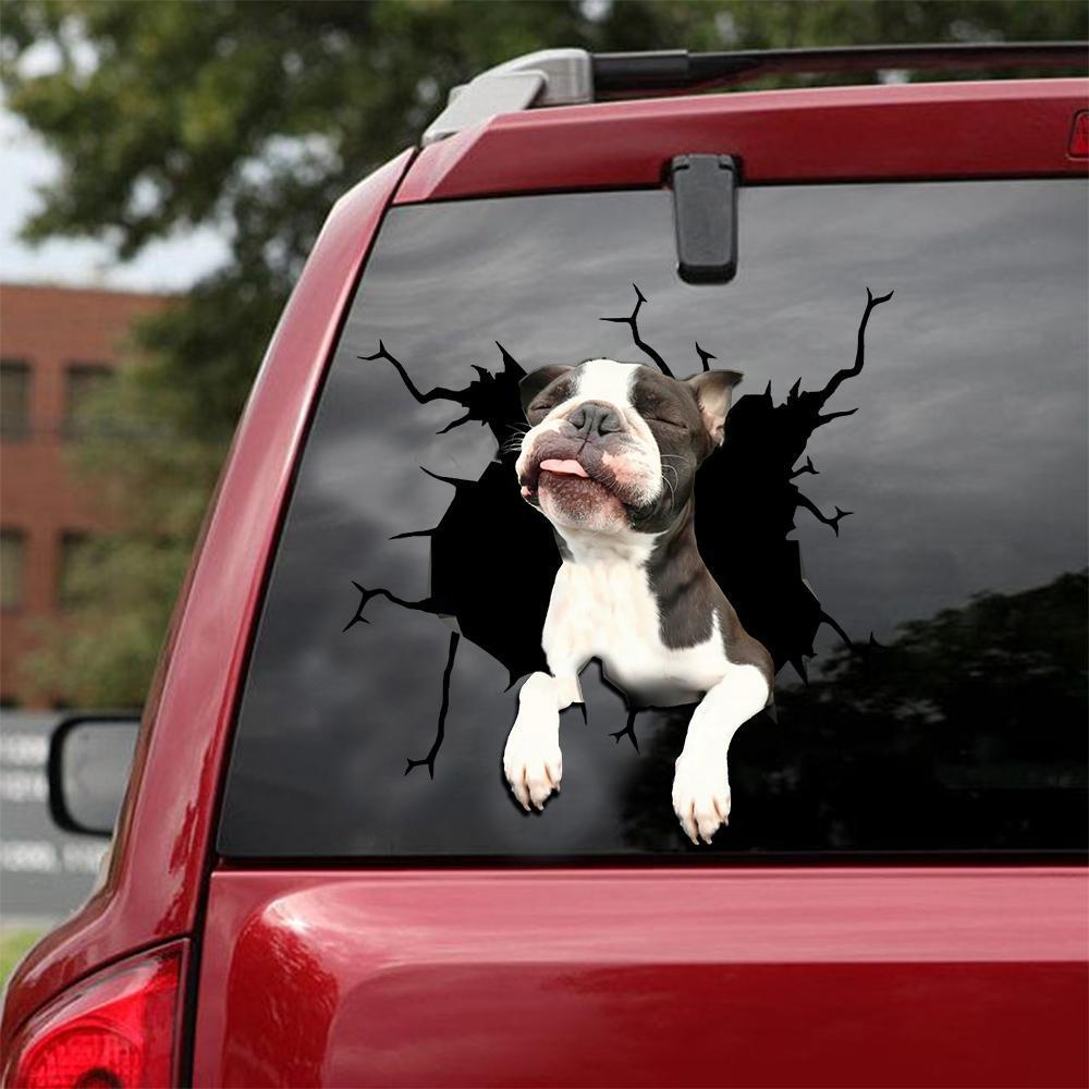 BOSTON TERRIER CRACK STICKER 16