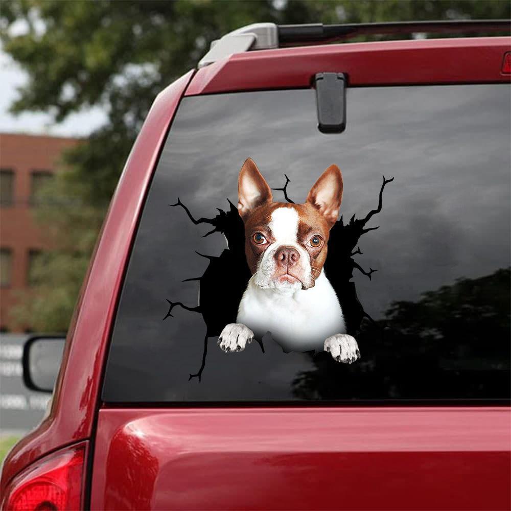 BOSTON TERRIER CRACK STICKER 4