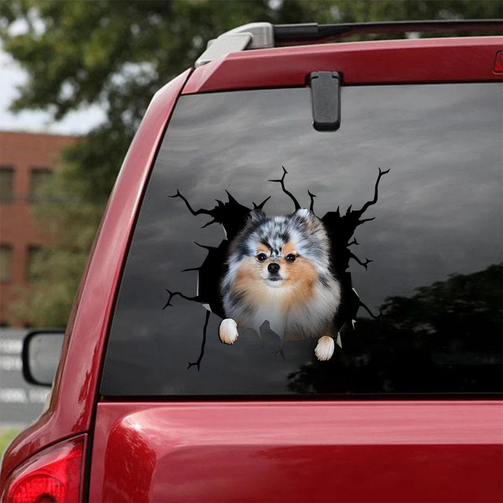 Pomeranian Crack Car Sticker, Toilet Sticker, Fridge Sticker 13