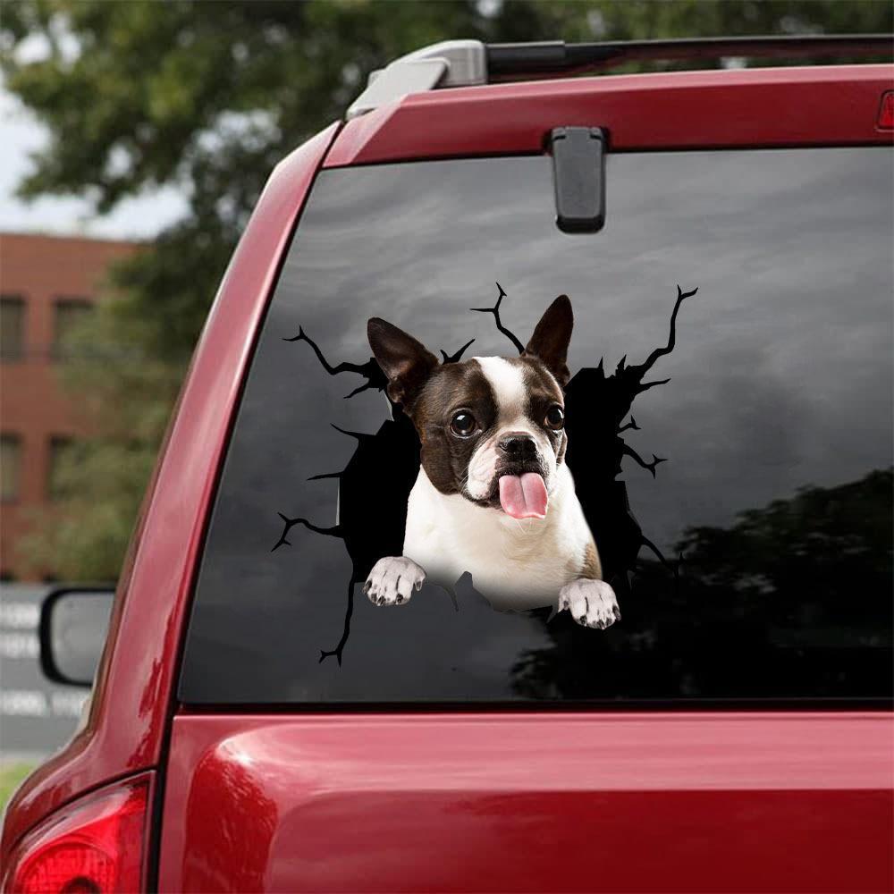 BOSTON TERRIER CRACK STICKER 9