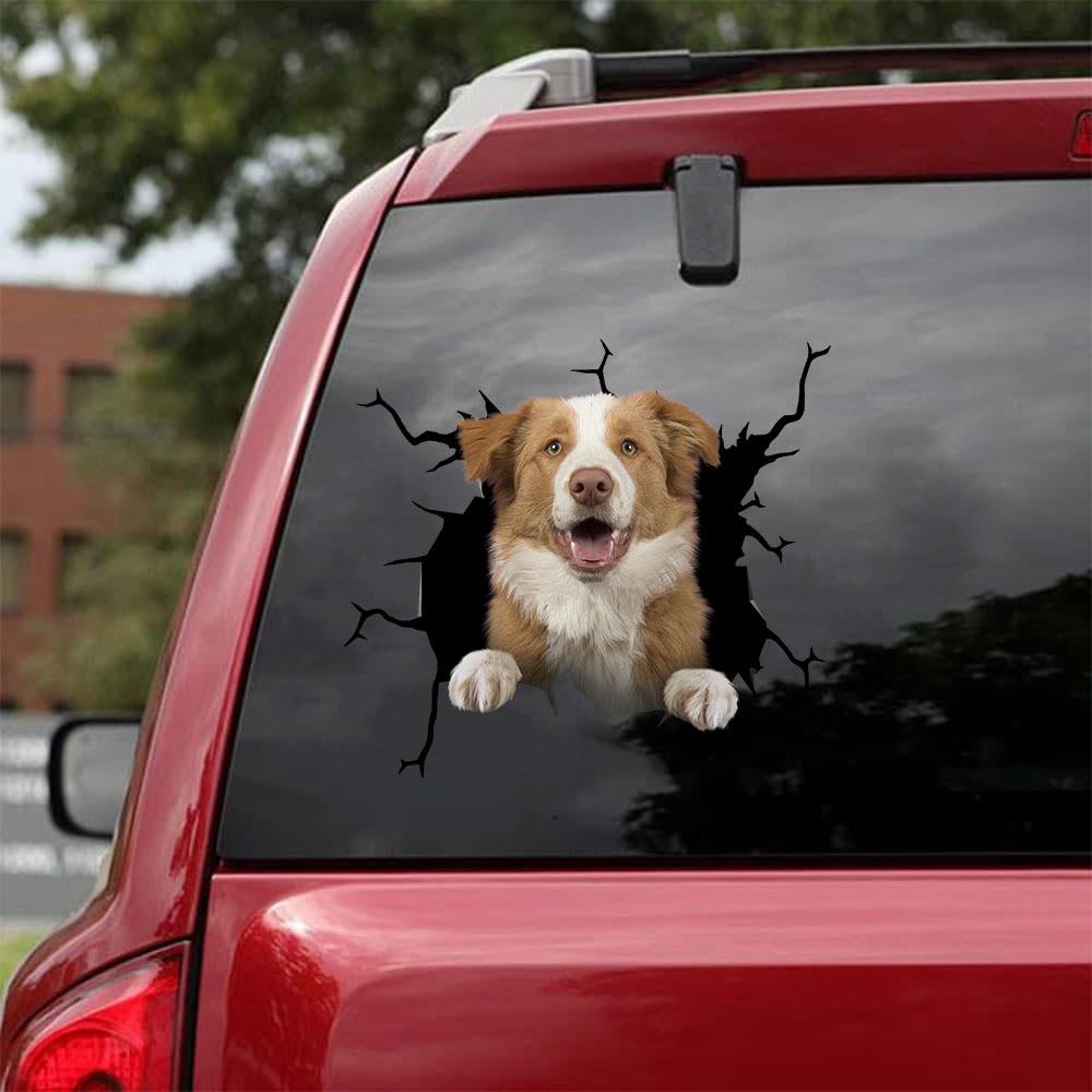 Border Collie Crack Car Sticker, Toilet Sticker, Fridge Sticker 3