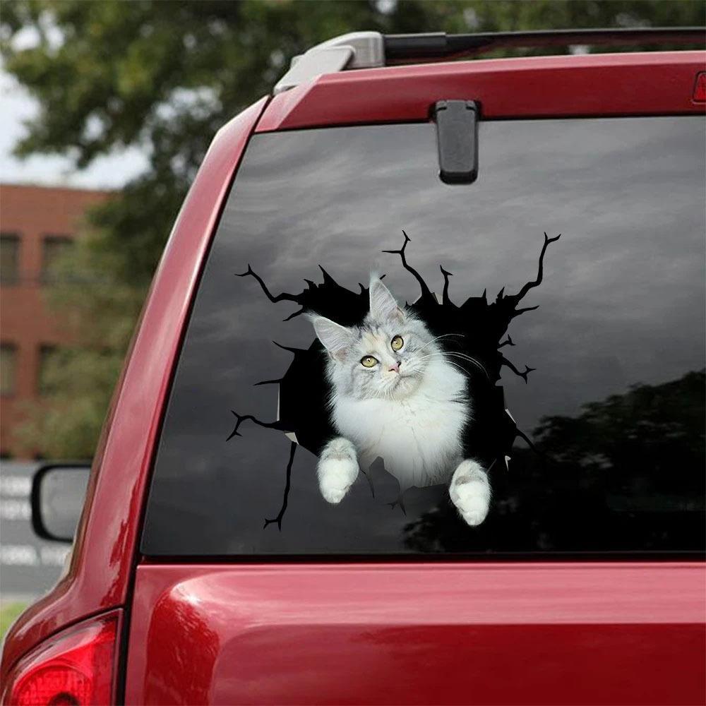 MAINE COON CRACK STICKER CATS LOVER 2