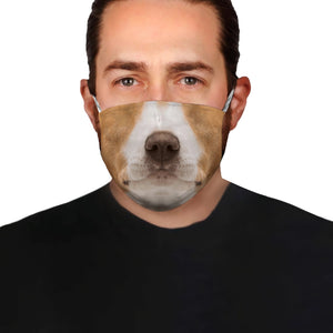 Jack Russell Terrier Face EZ01 Face Mask