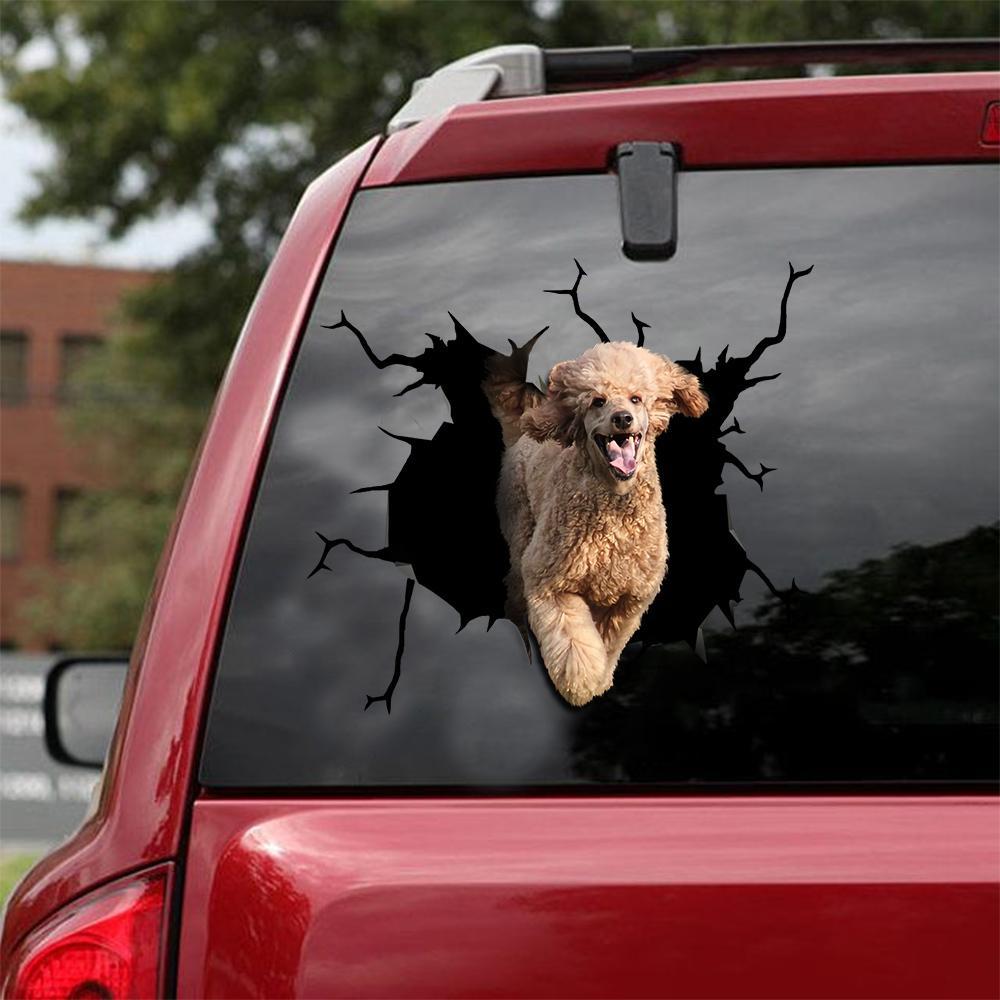 Funny Poodle 1 Car Sticker