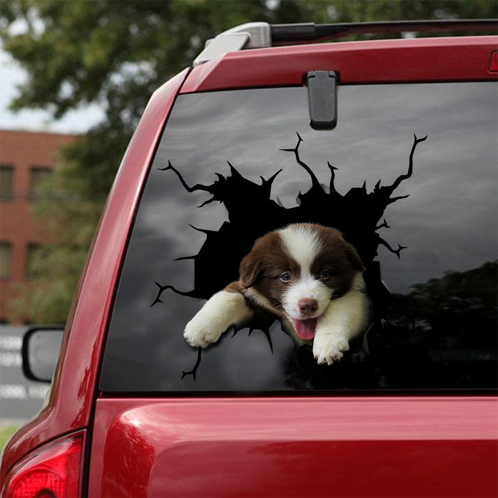 Border Collie Crack Car Sticker, Toilet Sticker, Fridge Sticker 32