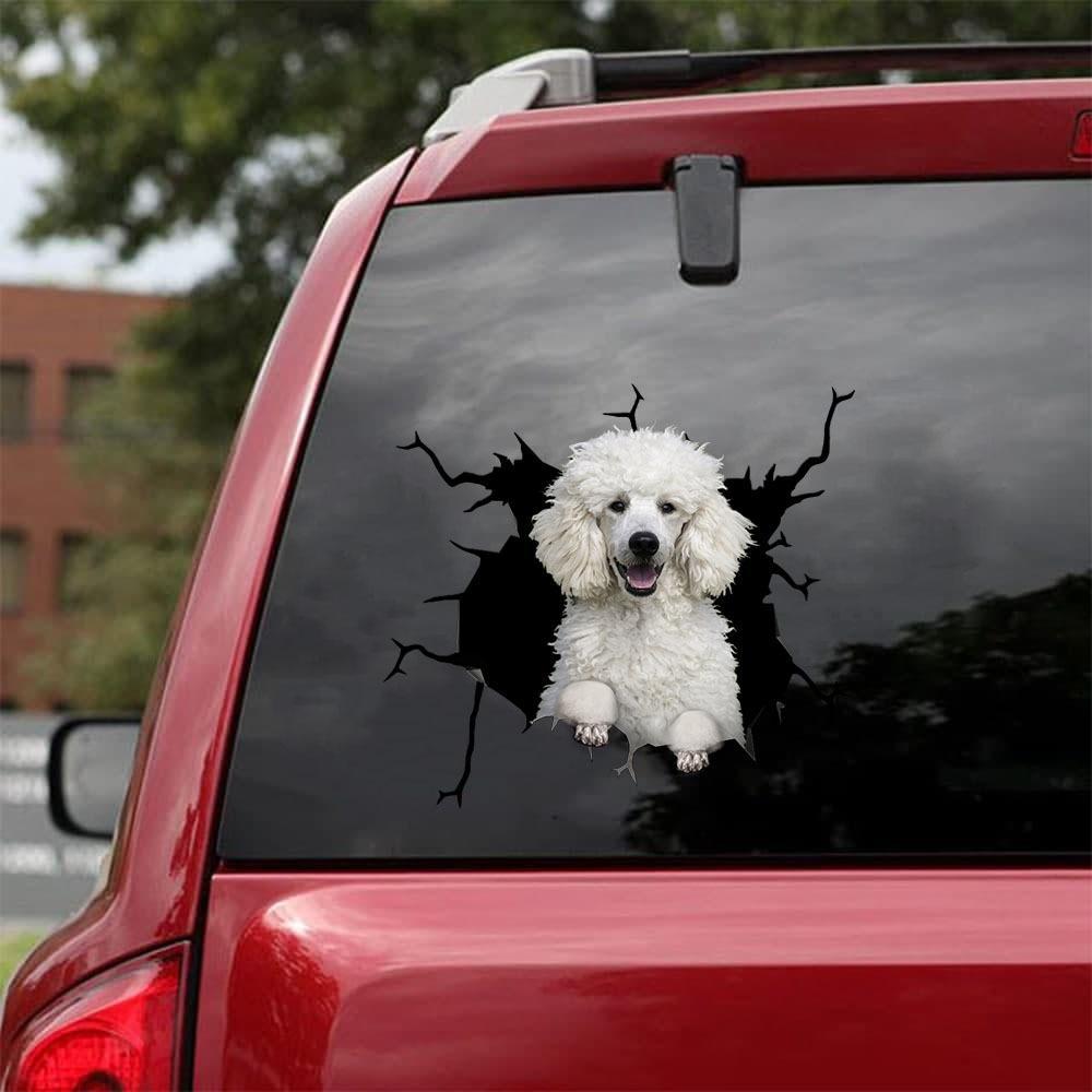 Poodle Crack Car Sticker, Toilet Sticker, Fridge Sticker 17