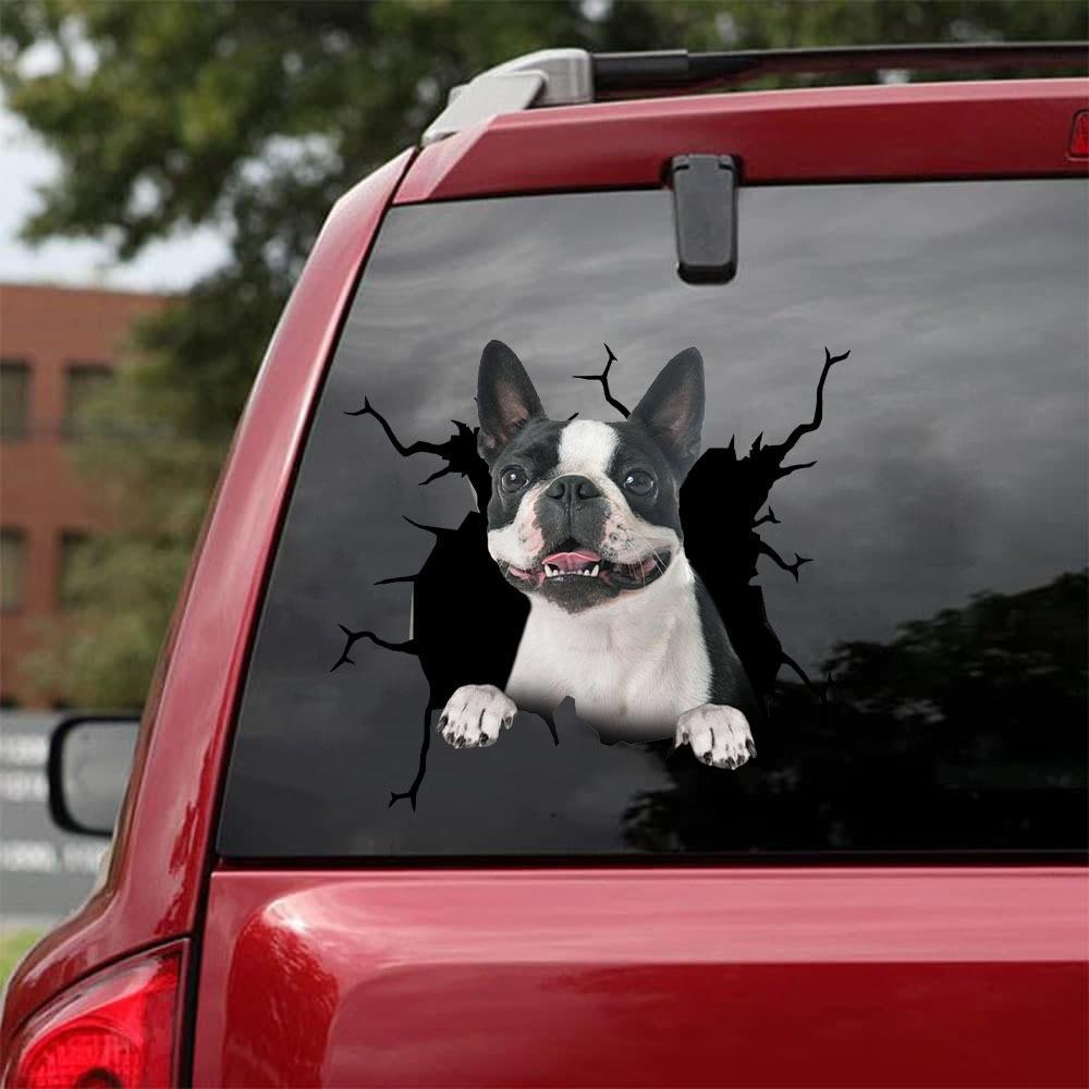 BOSTON TERRIER CRACK STICKER 6