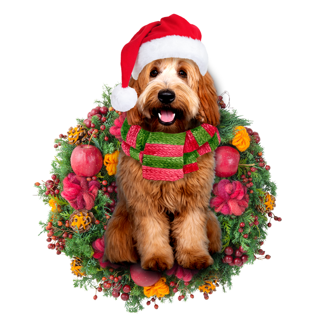 Labradoodle Christmas Ornament