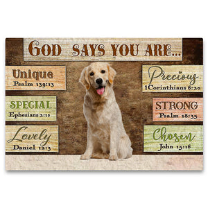 Labrador 3 God Says You Are Doormat