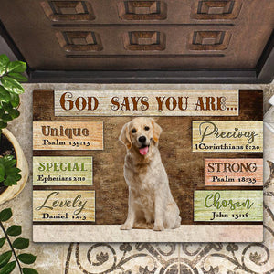 Labrador 3 God Says You Are Doormat