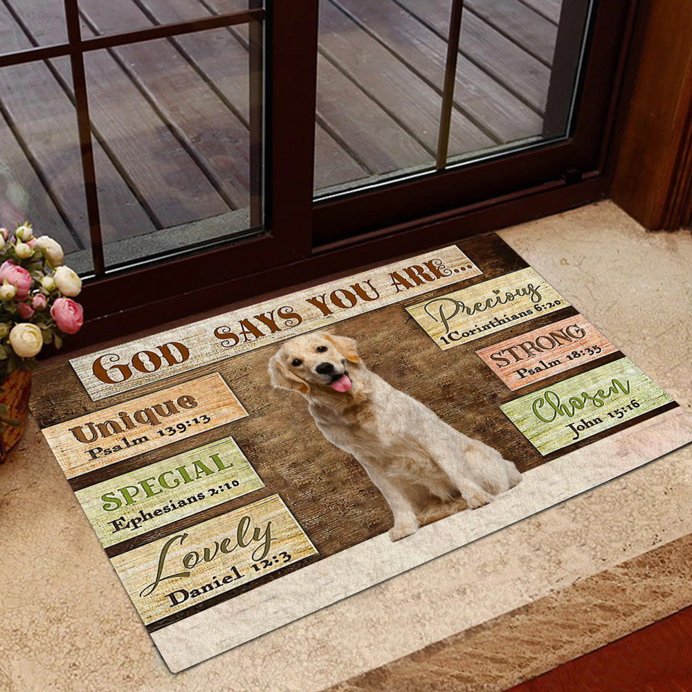 Labrador 3 God Says You Are Doormat