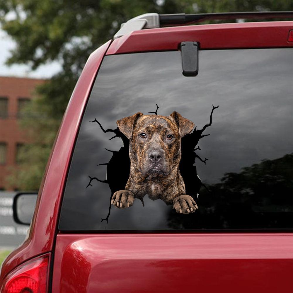 Cane Corso Crack Car Sticker, Toilet Sticker, Fridge Sticker 4