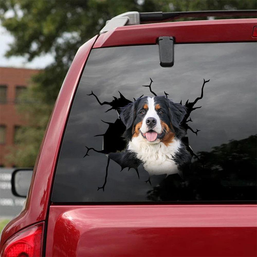 Bernese Mountain Crack Car Sticker, Toilet Sticker, Fridge Sticker 13