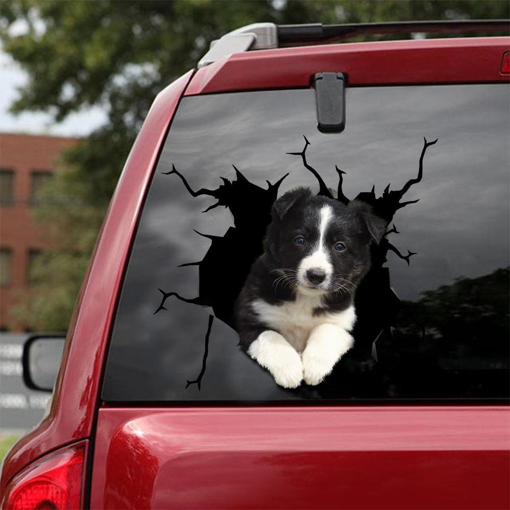 Border Collie Crack Car Sticker, Toilet Sticker, Fridge Sticker 34