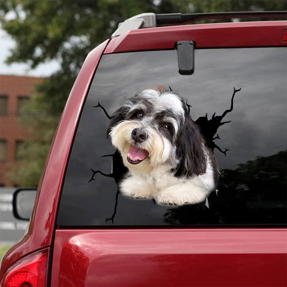 Havanese Crack Car Sticker, Toilet Sticker, Fridge Sticker 11