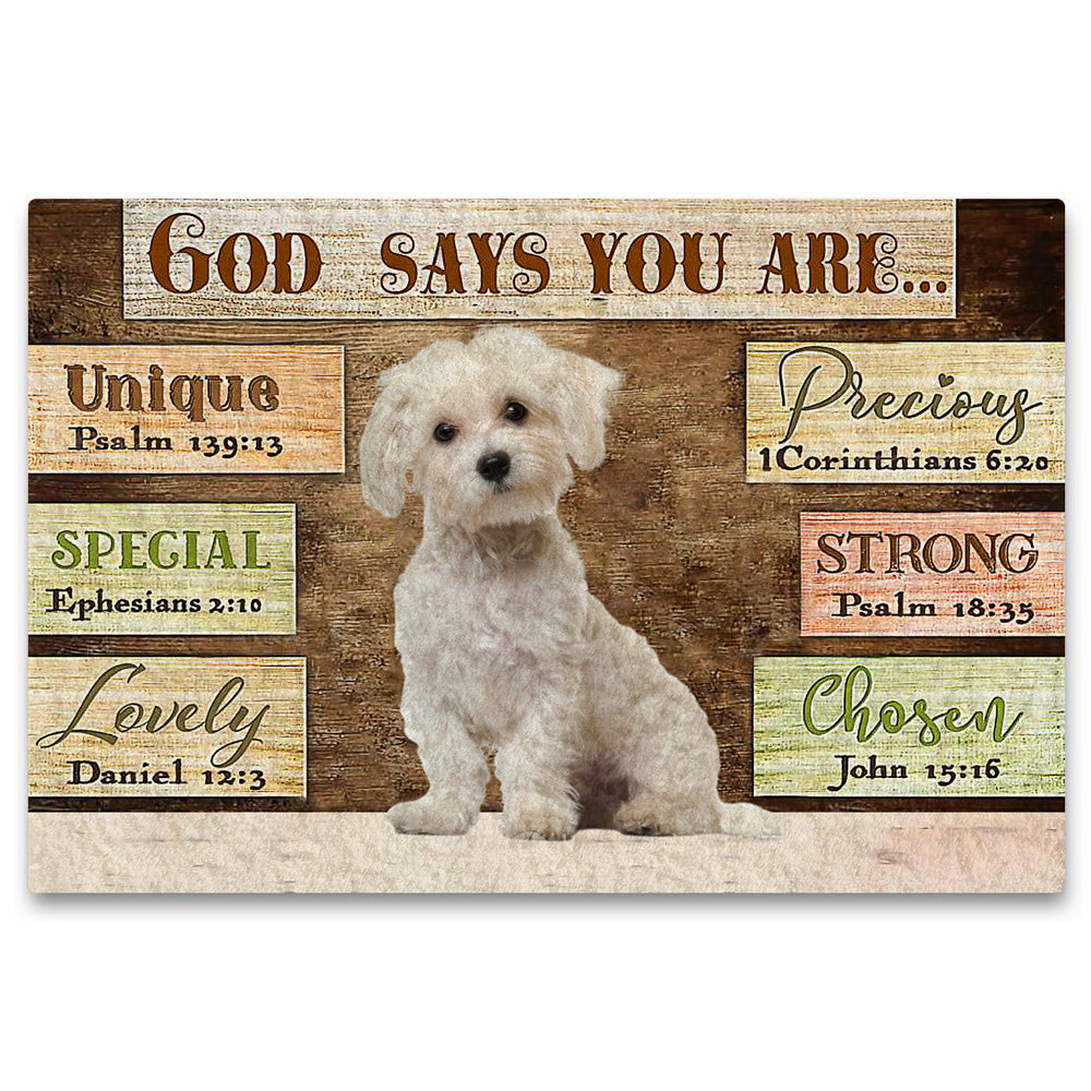 Maltese God Says You Are Doormat