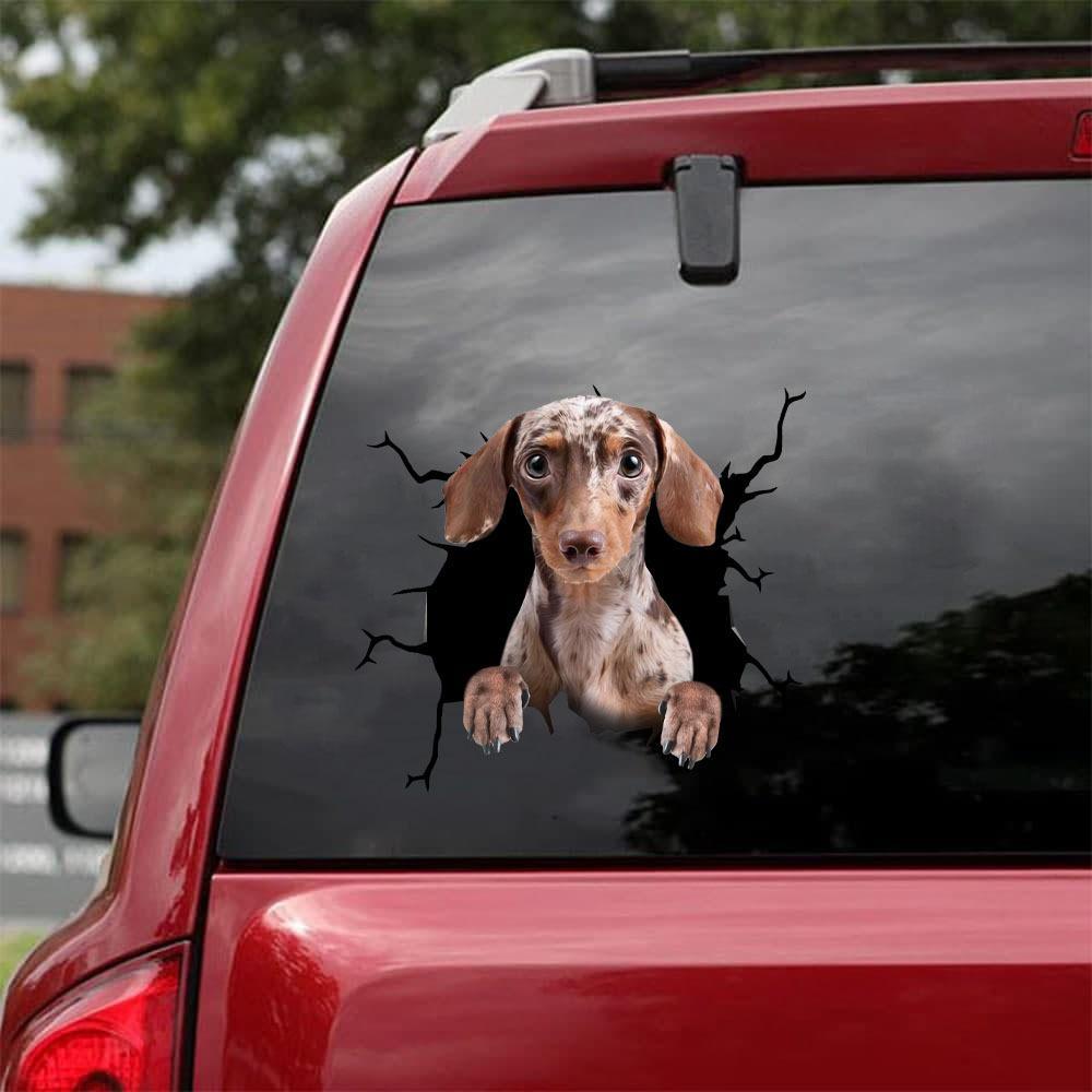 Dachshund Crack Car Sticker, Toilet Sticker, Fridge Sticker (38)