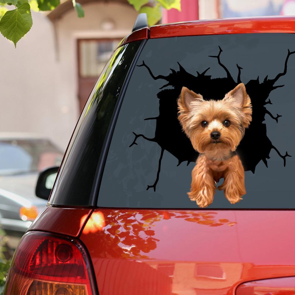 Yorkshire Terrier Car Sticker Lover 3