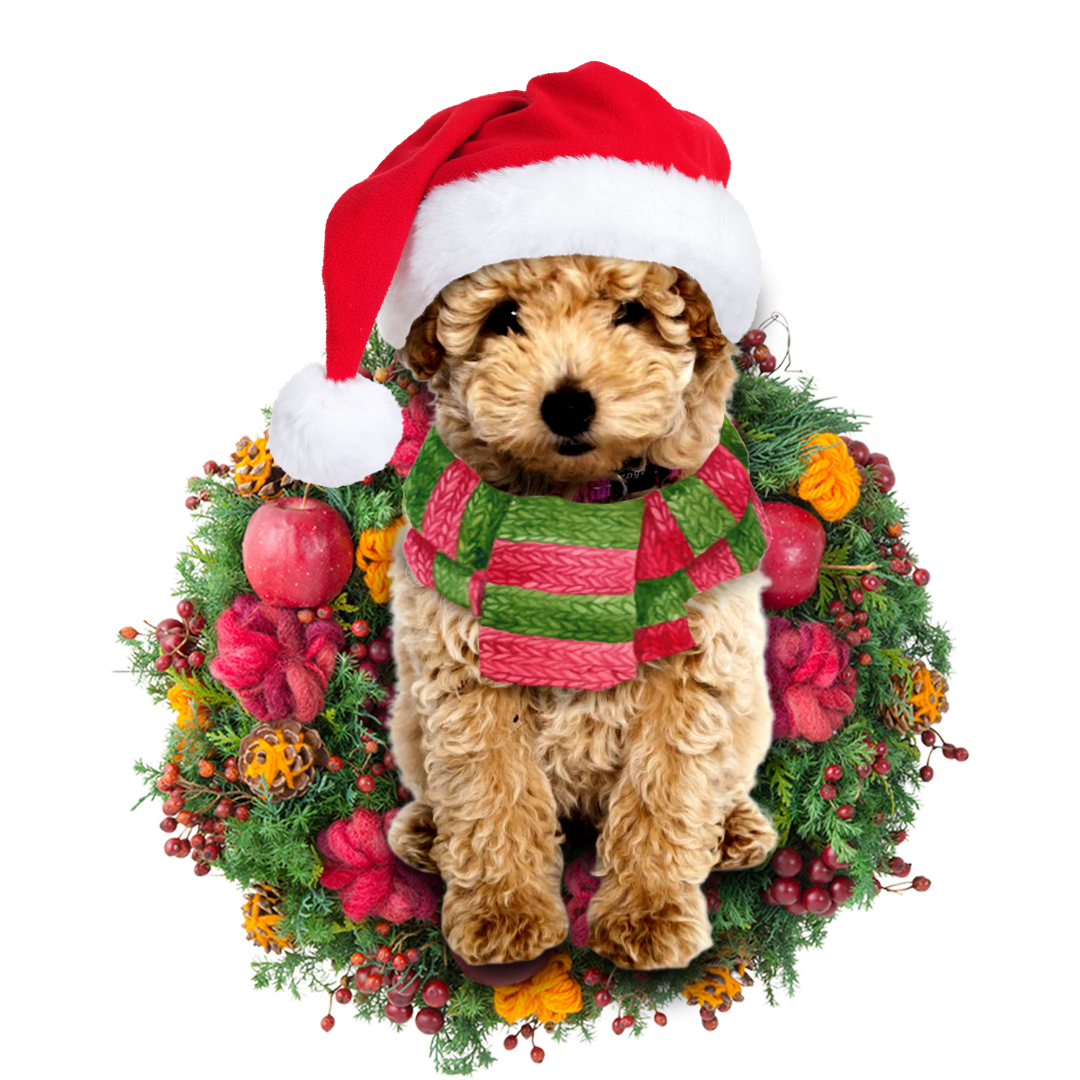 Poodle Christmas Ornament