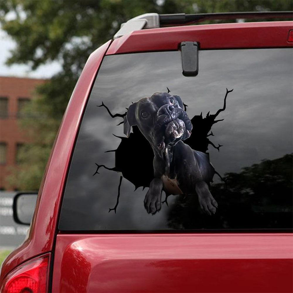 Boxer 3 Car Sticker