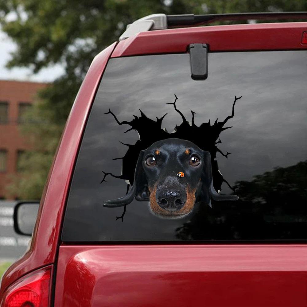 Dachshund Crack Car Sticker, Toilet Sticker, Fridge Sticker (12)