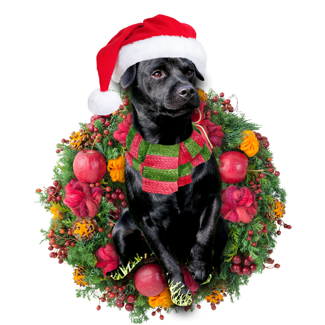 Patterdale Terrier Christmas Ornament